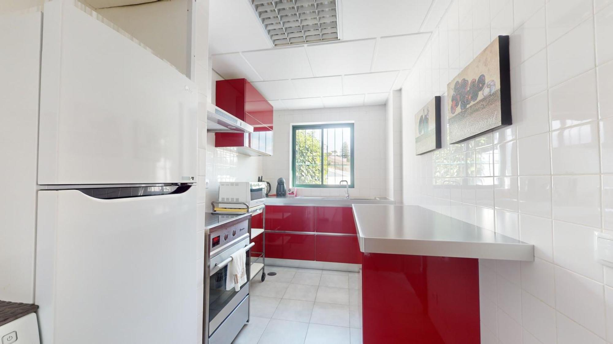 Azores Pedra Apartments - T0 E T1 Понта-Делгада Екстер'єр фото