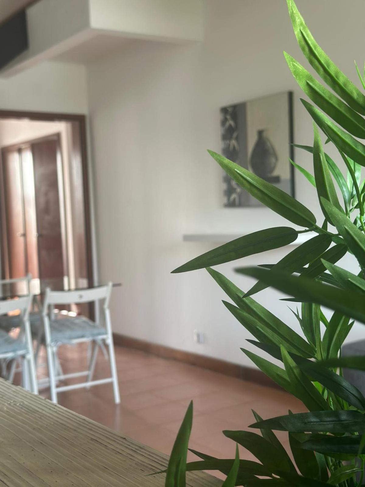Azores Pedra Apartments - T0 E T1 Понта-Делгада Екстер'єр фото